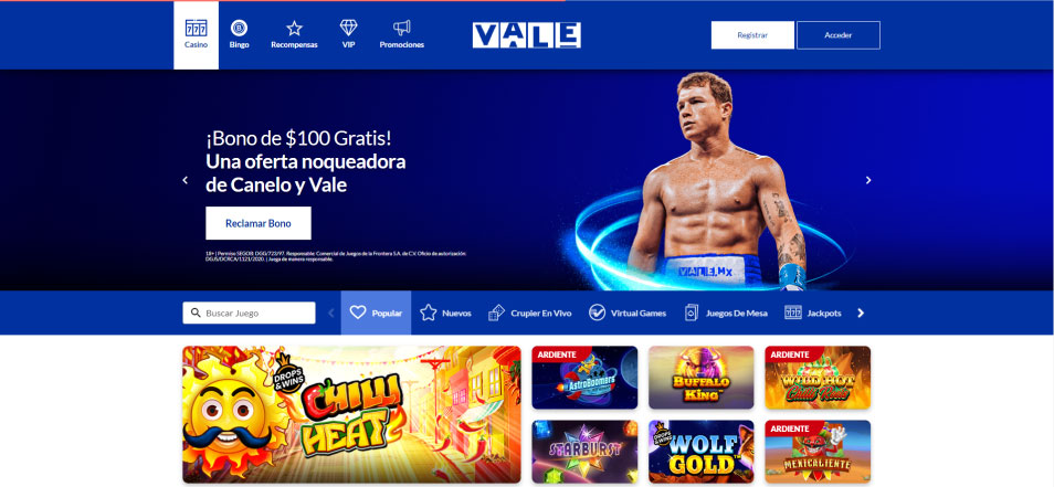 Doğru Kumarhaneyi Seçmek: Casino Vale İncelemesi